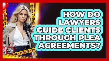 How Do Lawyers Guide Clients Through Plea Agreements?
