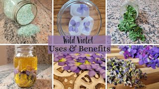 Download lagu Wild Violet Uses & Benefits