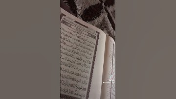 ‎ القارئ هاوکار صالح محمد الکردي 🎙🤍 صلوا على النبي ﷺ اللهم صل وسلم  على نبينا محمد ﷺ❤️ياسر الدوسري