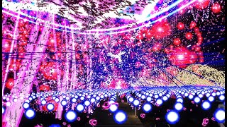 massive kinda scuffed touhou style VRChat danmaku battle