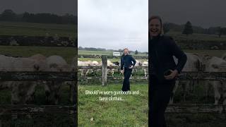 From AI Search to Talking to Cows | A Day in Real Estate Marketing