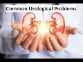 Drsivaraman talk about common urological problems  curihospital