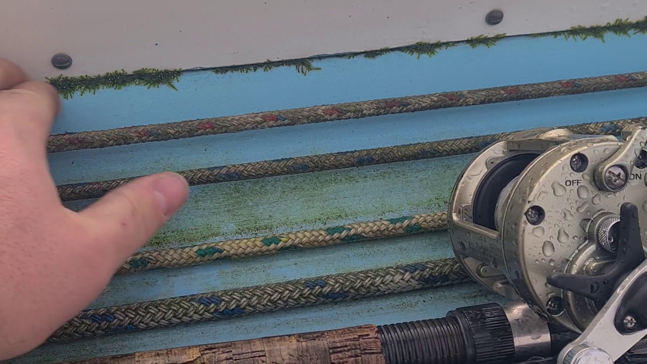 westerly longbow walk around