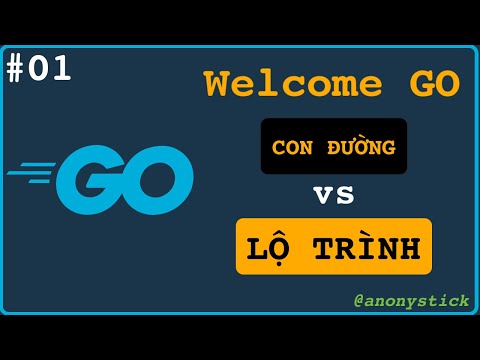 Go và CON ĐƯỜNG lập trình toàn diện cho nhiều level khác nhau (1) | Series Golang | Source vs Book