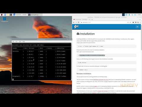 Install Java 20 on Raspberry PI