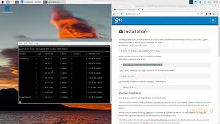 Install Java 20 on Raspberry PI