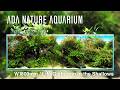 [ADAview] 浅瀬に集う生命たち - W1800mm Nature Aquarium Layout -【EN/JP Sub.】