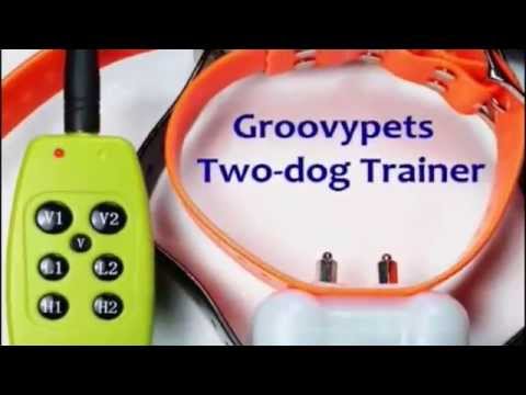 groovy pets training collar