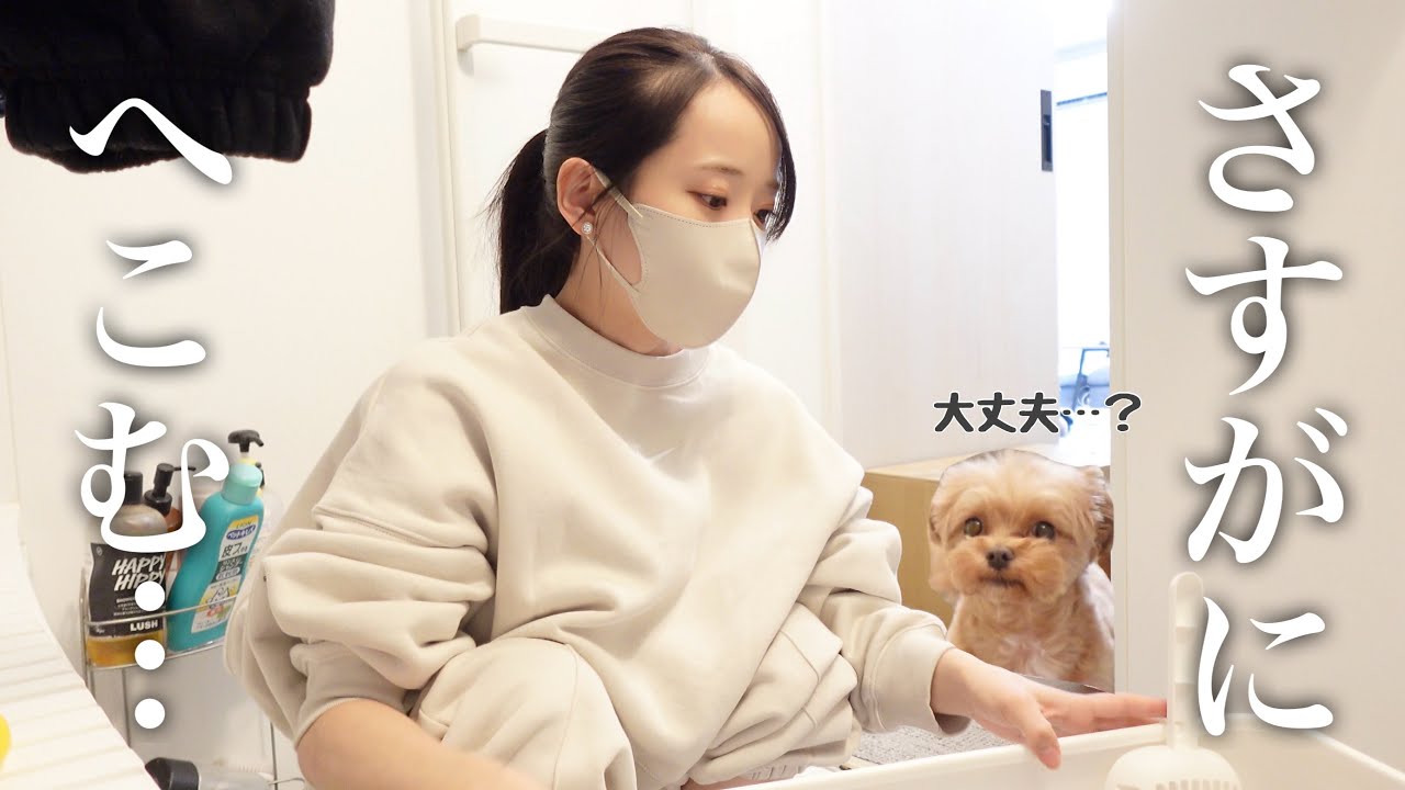 【絶望】総額◯◯万円の家具を破棄する事に…