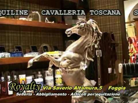 equitazione - Selleria Royalty - Foggia-puglia-ab....