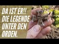 Den legendärsten Orden bei der Schatzsuche gefunden! Sondeln mit Funden aus dem 1. und 2. Weltkrieg!