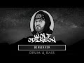 Wolf Odinson - Berserker (Drum&Bass)