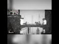 S&amp;S Paint Mode