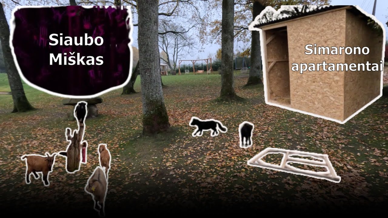 Siaubo miškas, statom simaronams namus... 2025 (autumn) #4