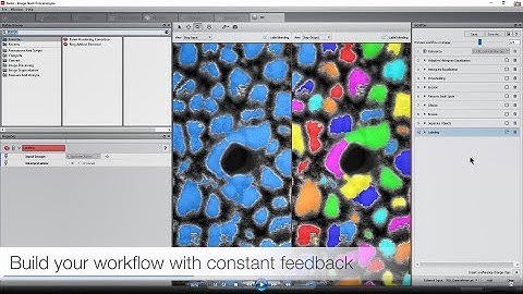 Amira-Avizo Software | Image Stack Processing