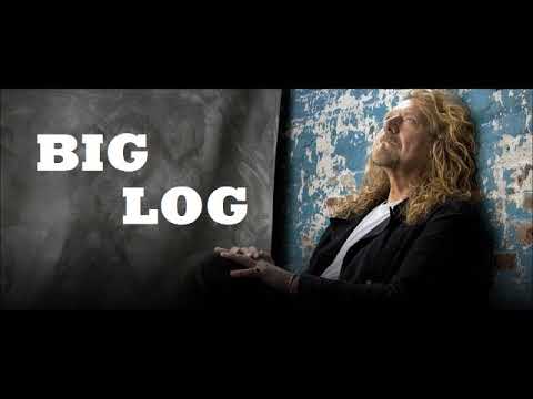 Big log перевод