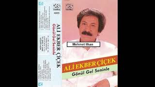 Ali Ekber Çiçek - Çıkalım Meydan Yerine (1988) Resimi