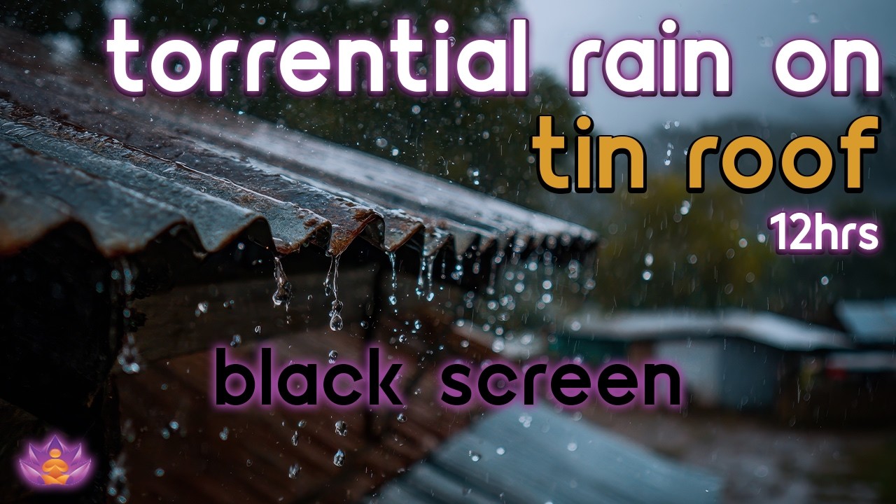 [Black Screen] Heavy Downpour | Torrential Rain on Tin Roof – No Thunder | Sleep Rain Sounds