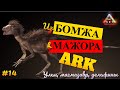 Выживание в ARK Survival Evolved 2022: БАРЫГА ПЕГОМАСТАКС, что ест МАГМАЗАВР ТОП