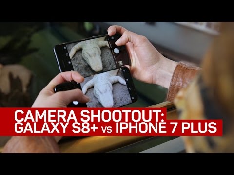 galaxy-s8-plus-vs-iphone-7-plus:-which-takes-better-pictures?