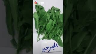 الجرجير فوائده وطريقة علاجه