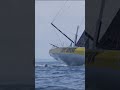 Nico d'Estais under escort 🐬