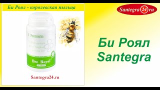 Bee Roal Би Роял Santegra Сантегра