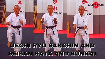 Gaja Sensei: Uechi Ryu Seminar preview (full video on Bujin.TV - link below)