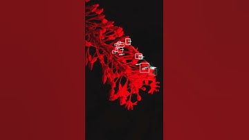 Touchdesigner Audio reactive Blob Tracking