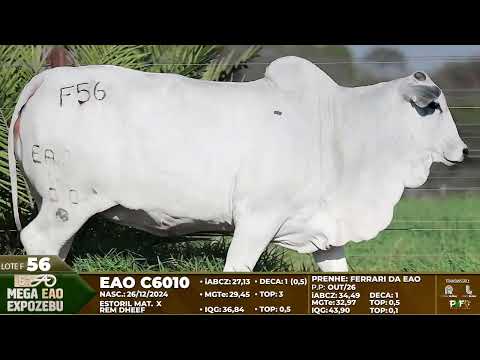 LOTE F56