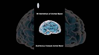 Sparks of Cognition: 3D Animated Tour of the Human Brain #youtube #trending #shorts #scienceshorts