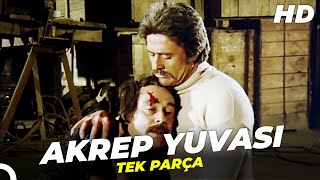 Akrep Yuvası Cüneyt Arkın Türk Filmi Full Restorasyonlu