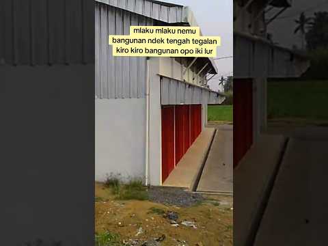 jalan jalan sore