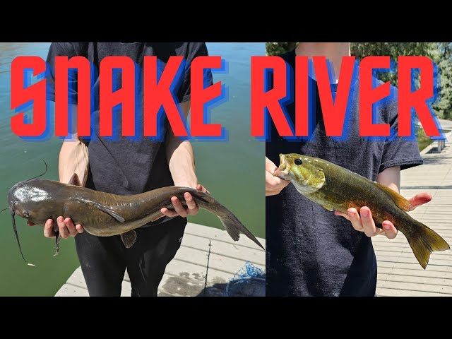 Snake River Idaho Fishing for Catfish and Bass 