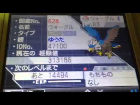 ポケモンbw2 色違いウォーグル Youtube