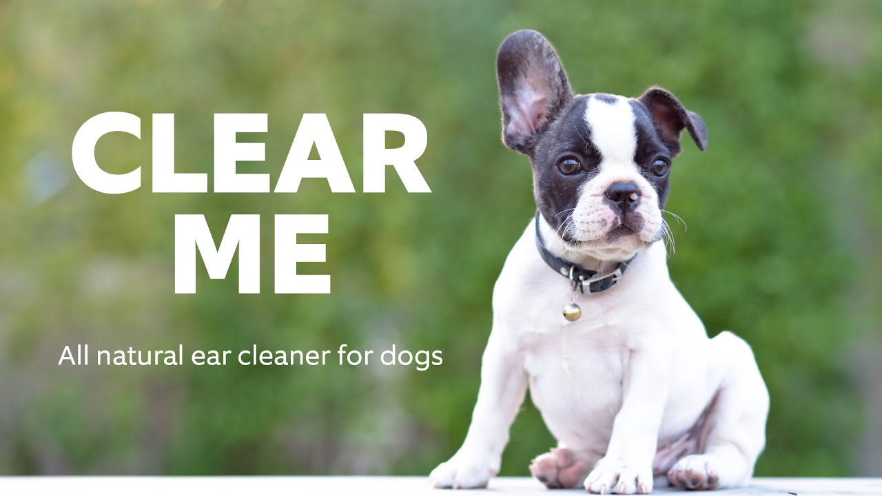 Clear Me - All Natural Ear Cleaner For Dogs - YouTube