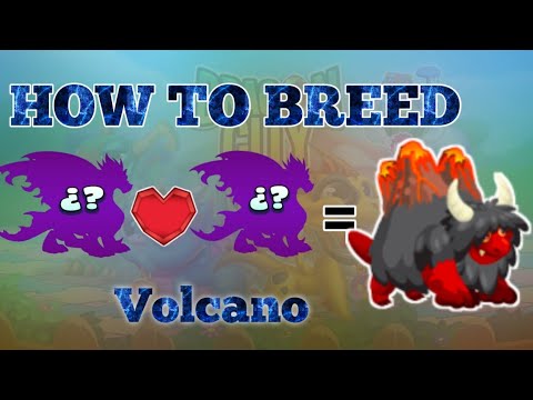 Come allevare Vulcano Drago || dragon City