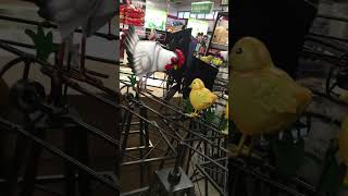 Tractor Supply Windmill Chicken Motion