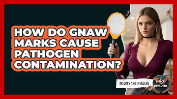 How Do Gnaw Marks Cause Pathogen Contamination? - Insects and Invaders