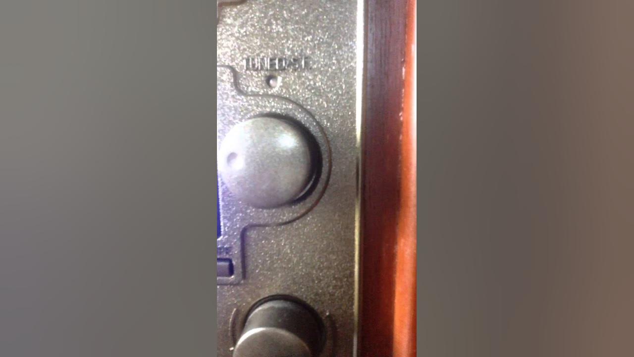 Greg And Steve Going On A Bear Hunt YouTube