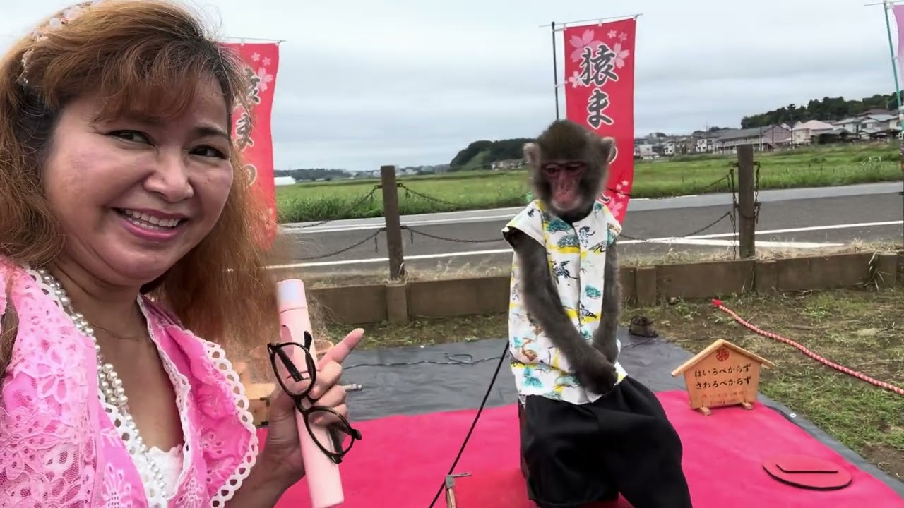 Sakura Cosmos Festival 2024