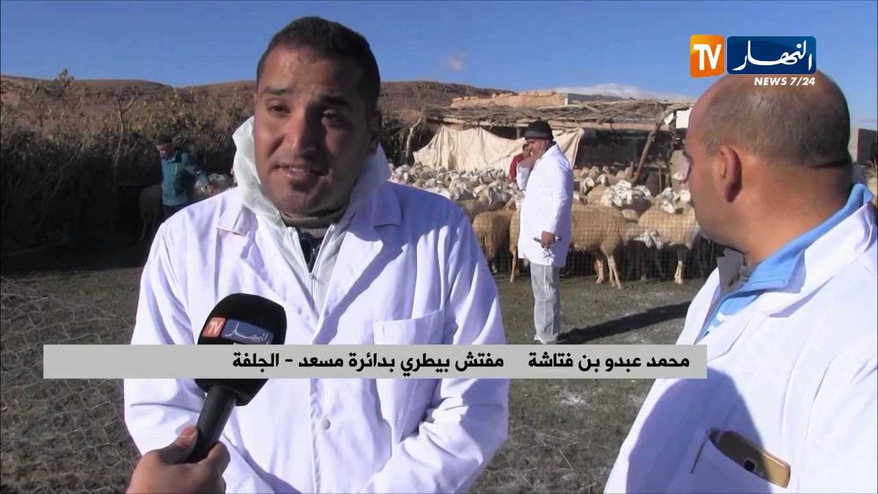 الجلفة/ إجراءات وخرجات ميدانية بعد إكتشاف بؤر لوباء طاعون المجترات الصغيرة