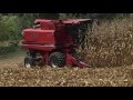 Harvest time at csiszlaks farm