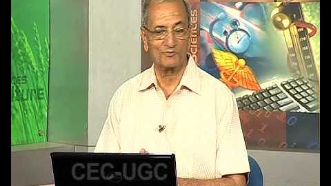 English : Literary Theory