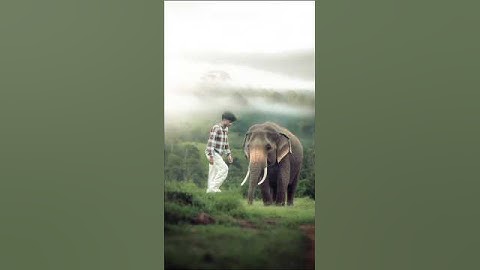 Hypic Photo Editor 🔥😲 #shorts #hypic #photography #hypicapp