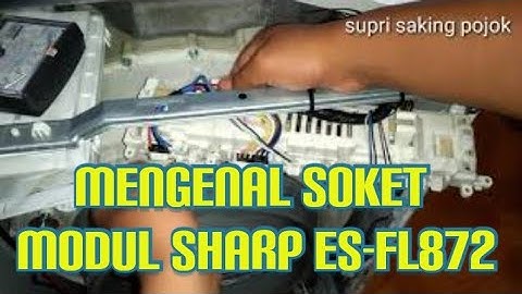 MENGENAL SOKET MODUL SHARP ES-FL872