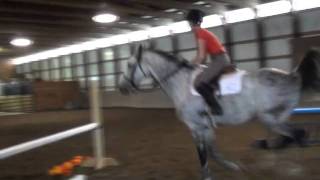 A year with Vinny Vinny Horse Riding Classic