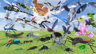 Insect Body Length Comparison 3D Animation Real Scale Comparison