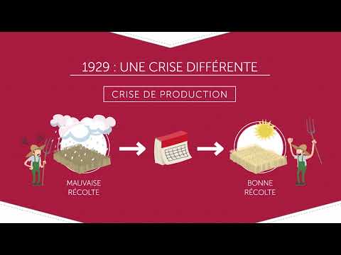 Vidéo: Quand est-ce considéré comme de la thésaurisation d'animaux ?