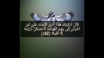 القرآن الكريم سورة الإسراء صفحة 288